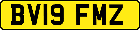 BV19FMZ