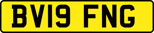 BV19FNG