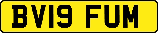BV19FUM