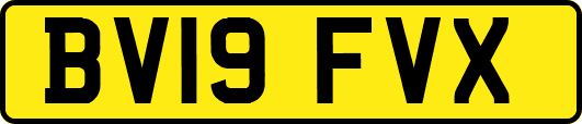 BV19FVX