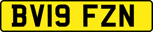 BV19FZN