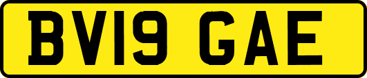 BV19GAE