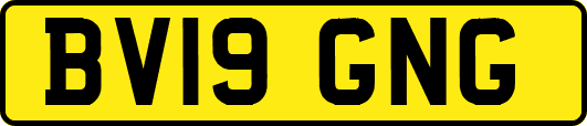 BV19GNG