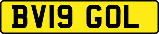 BV19GOL