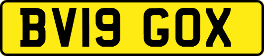 BV19GOX