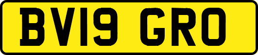 BV19GRO