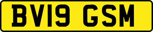 BV19GSM