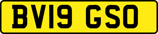 BV19GSO