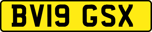 BV19GSX