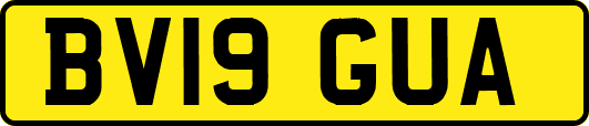 BV19GUA