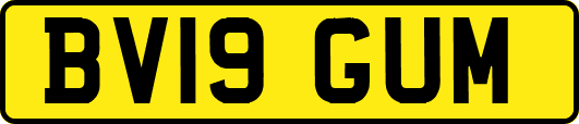 BV19GUM