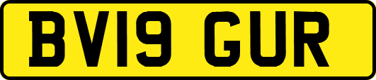 BV19GUR