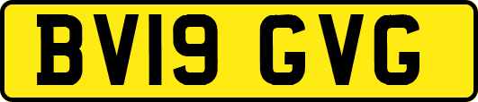 BV19GVG