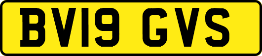 BV19GVS
