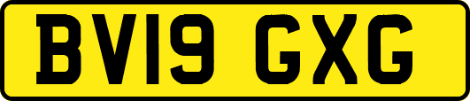 BV19GXG