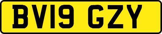 BV19GZY
