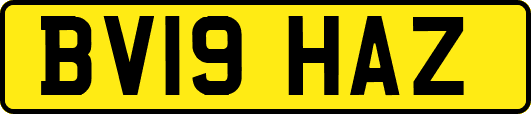 BV19HAZ