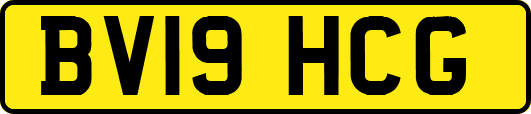 BV19HCG