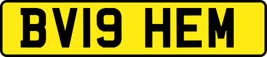 BV19HEM