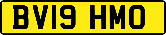 BV19HMO