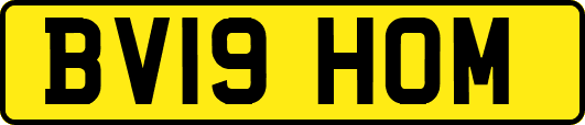 BV19HOM