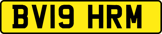 BV19HRM