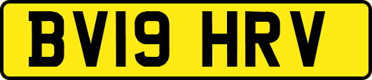 BV19HRV
