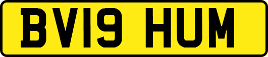 BV19HUM
