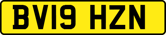 BV19HZN