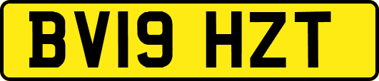 BV19HZT