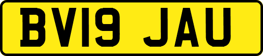 BV19JAU