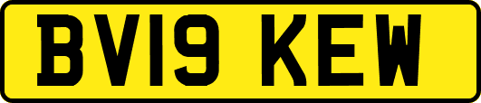 BV19KEW