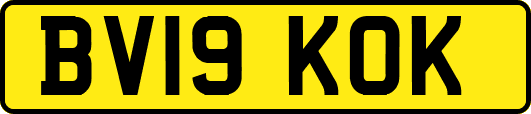 BV19KOK