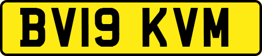 BV19KVM