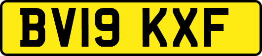 BV19KXF