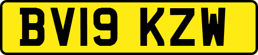 BV19KZW