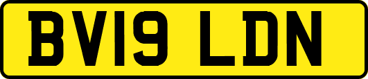 BV19LDN