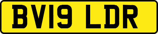 BV19LDR
