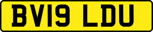 BV19LDU