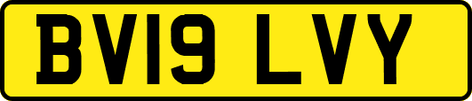 BV19LVY