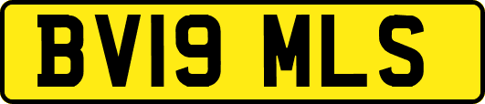 BV19MLS