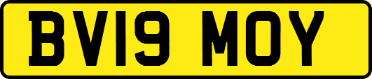 BV19MOY
