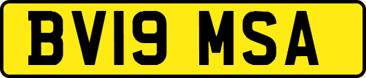 BV19MSA