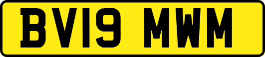 BV19MWM