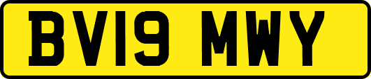 BV19MWY