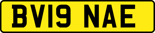 BV19NAE