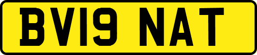 BV19NAT