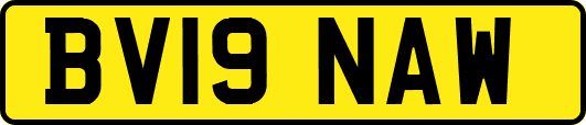 BV19NAW