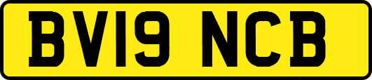 BV19NCB