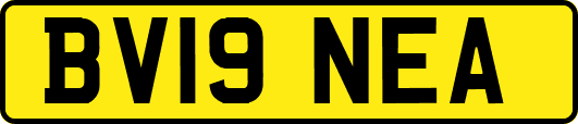 BV19NEA